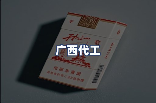 广西代工